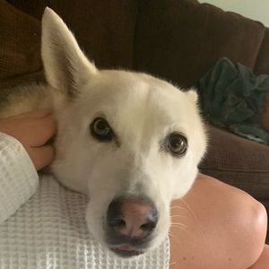 Meet your Posher, Maeve